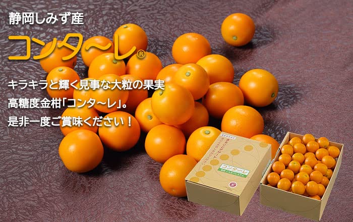 Amazon.co.jp: 完熟きんかん コンターレ 秀品 4L～2Lサイズ 1kg こん太